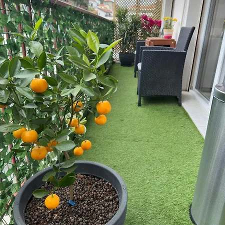 Spacious Riviera Nice