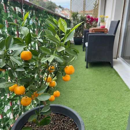 Apartmán Spacious Riviera *